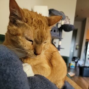 Meet your Posher, MR